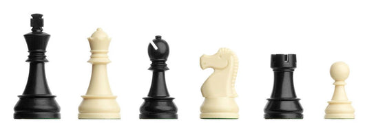 3.38 Inch DGT Chess Pieces Plastic  (in bag)